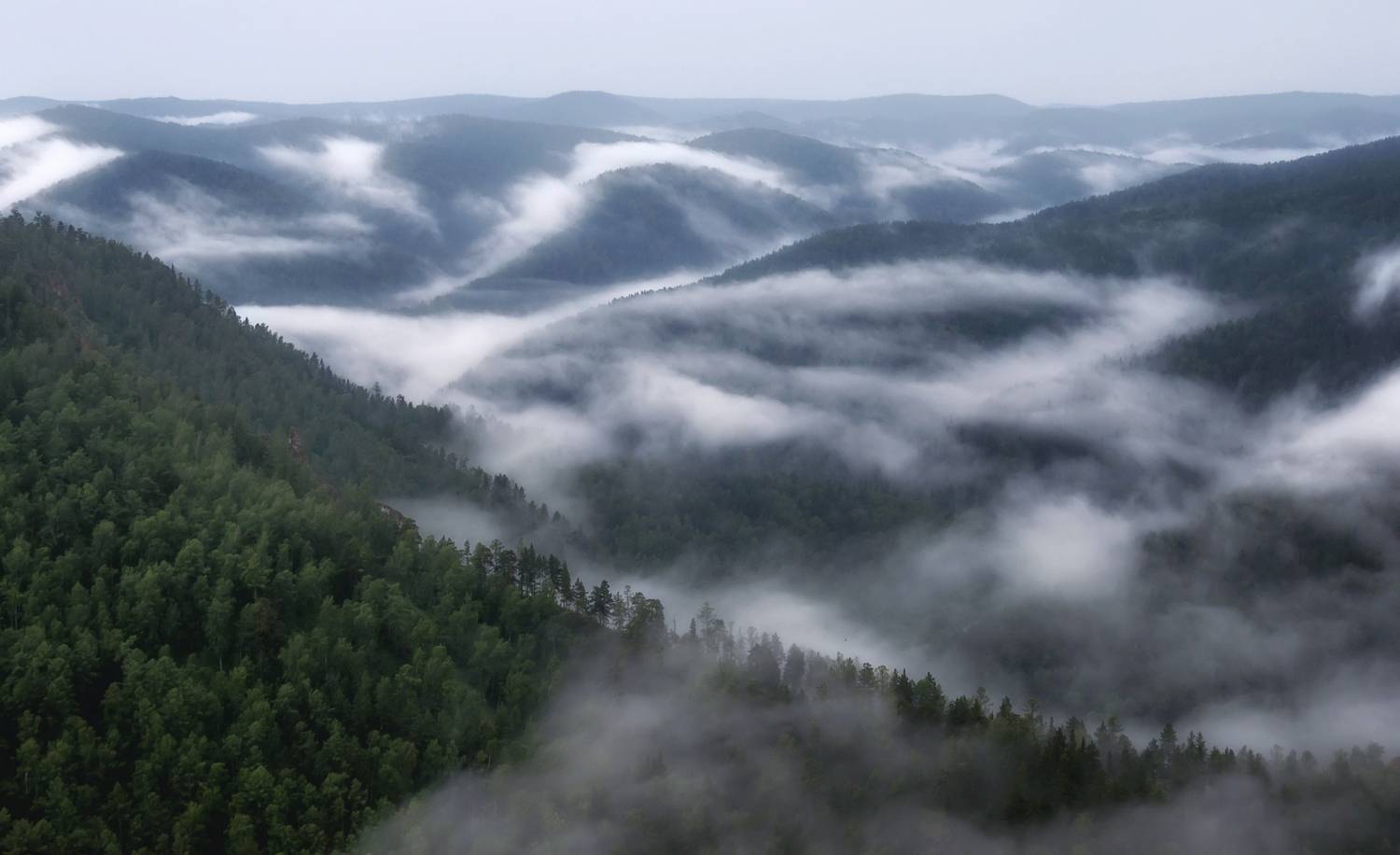 После дождя. Автор: Марина Фомина сибирь, торгашинский хребет, сопки, туман, тайга, енисейская сибирь, Марина Фомина