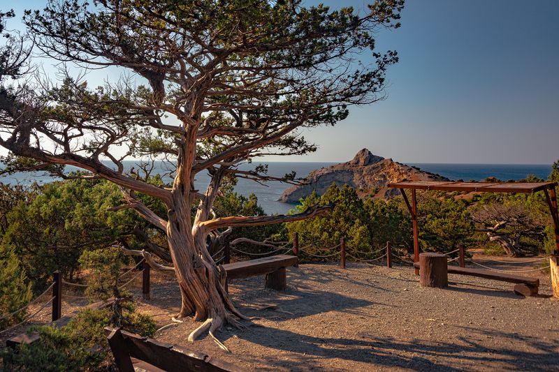 Природа Нового света фото превью