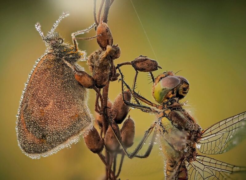 Утренние разговоры фото превью