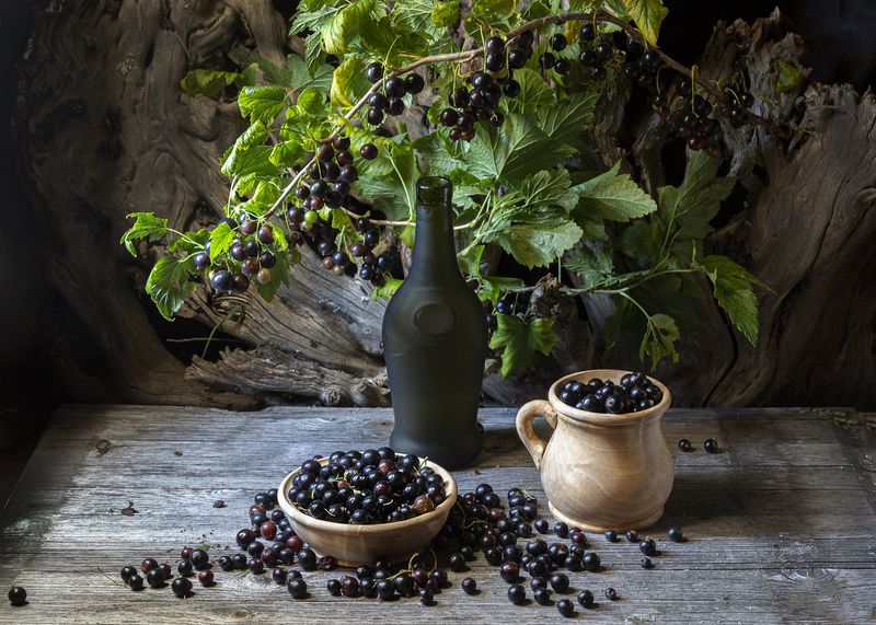 смородина. Смородина. фото превью