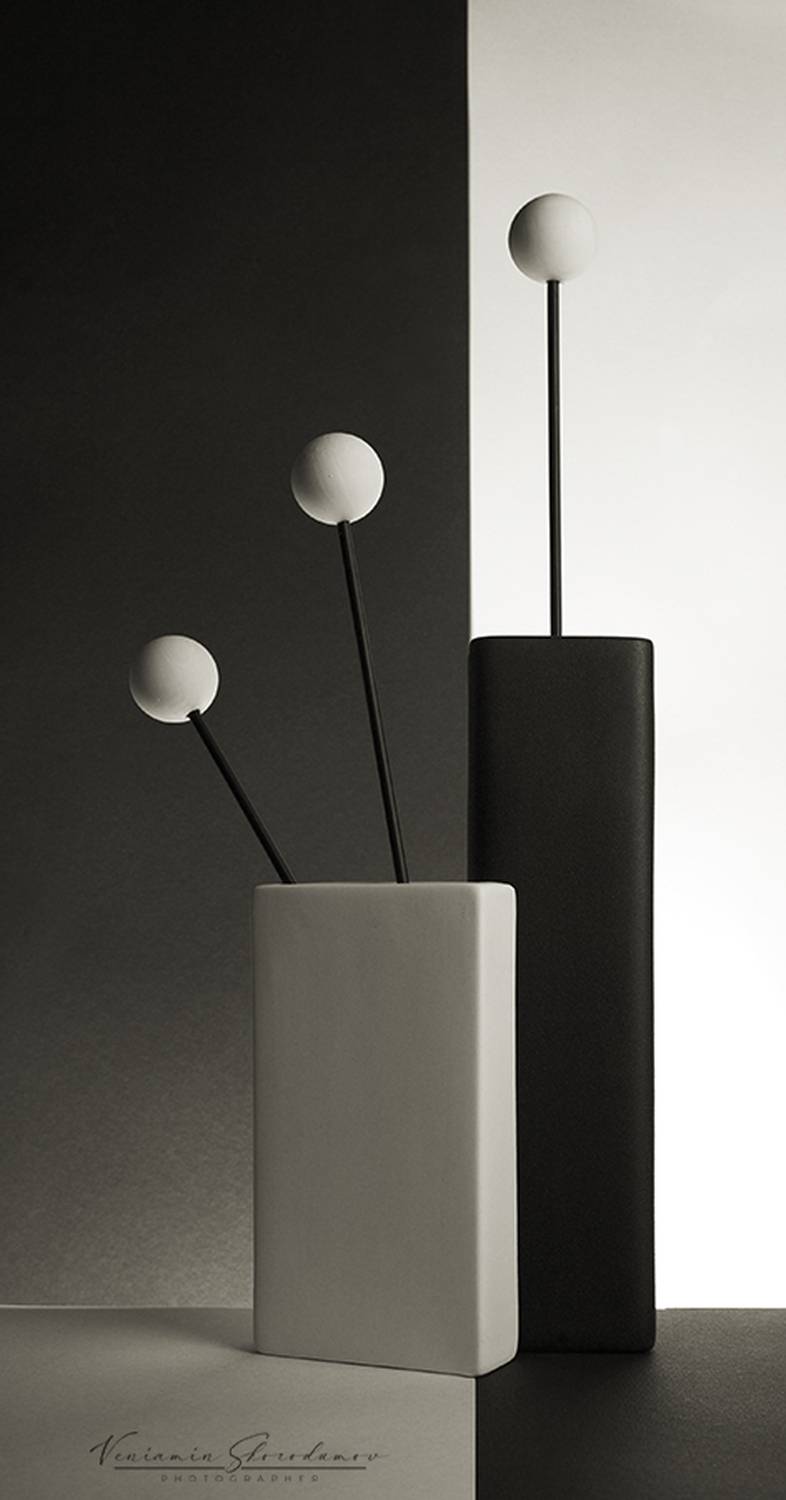 натюрморт, белое, чёрное, vensk, Скородумов Вениамин