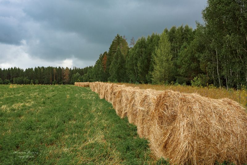 Полевой десант фото превью