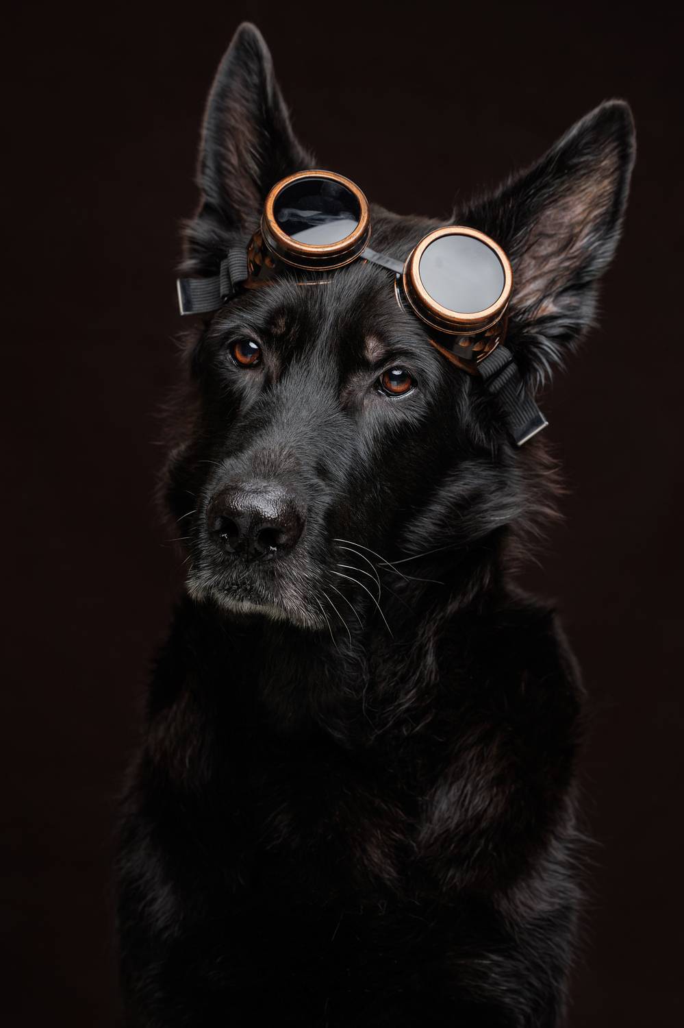 Автор: Яна Нарбутович , Яна Нарбутович