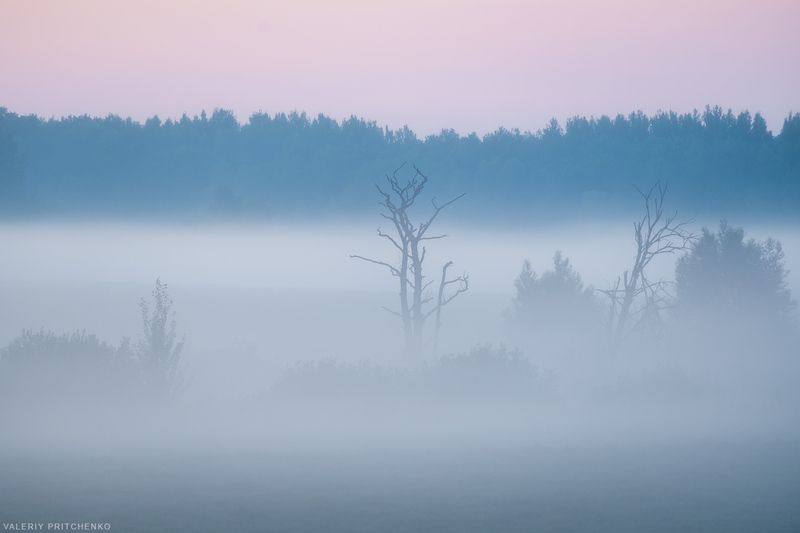 Вечерние туманыphoto preview