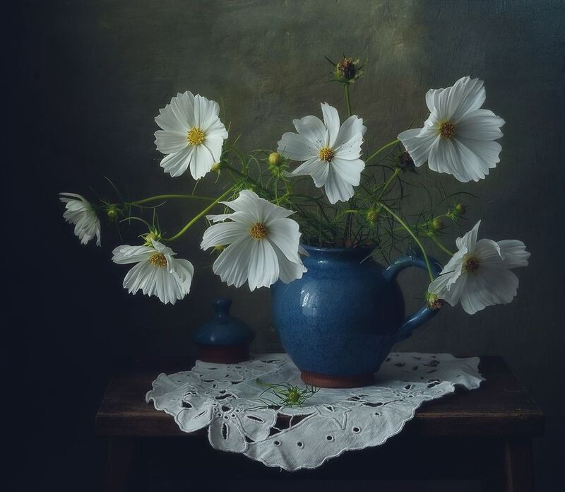 натюрморт,космея,цветы,букет,лето космея...photo preview