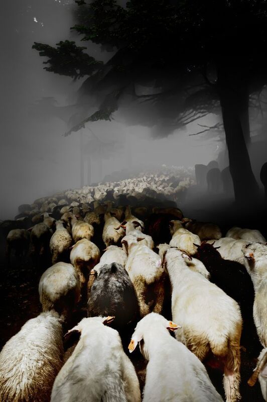 Road...photo preview