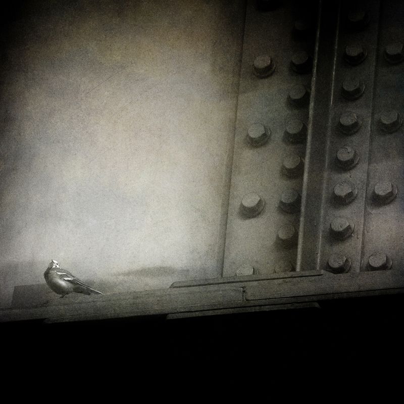 чб, город, пикториализм, минимализм В городе жить.photo preview