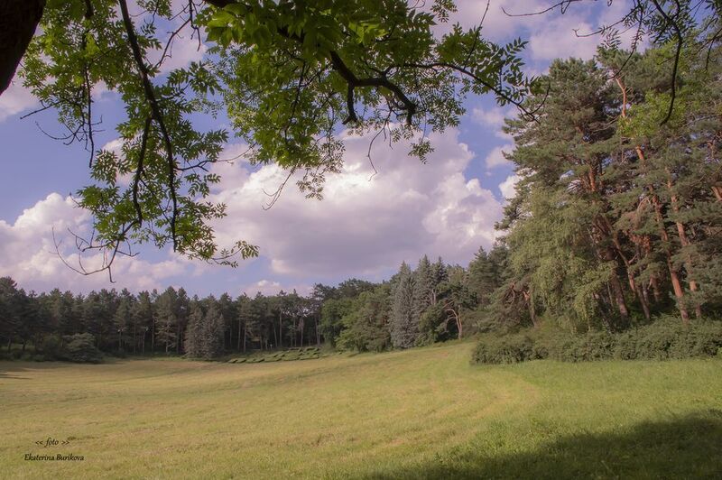 Кисловодский  парк.photo preview