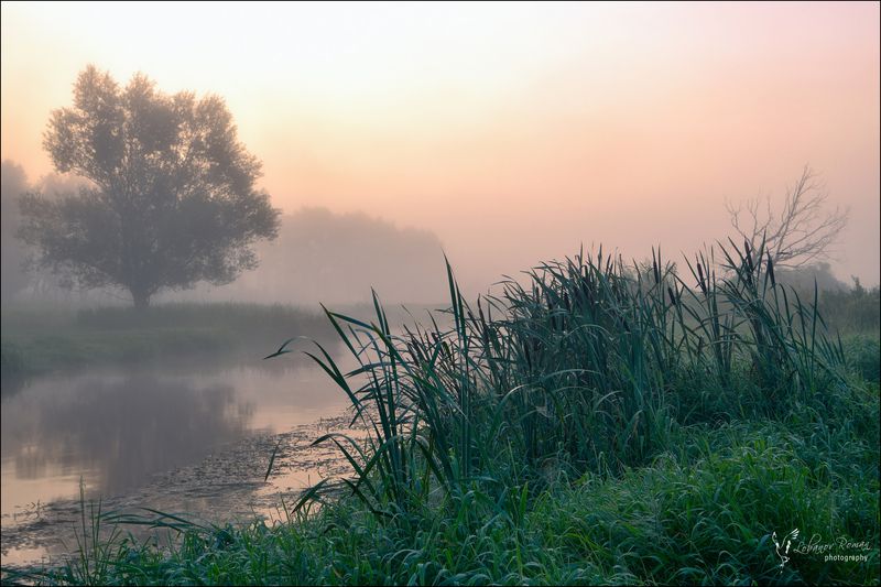 В ожидании ... фото превью