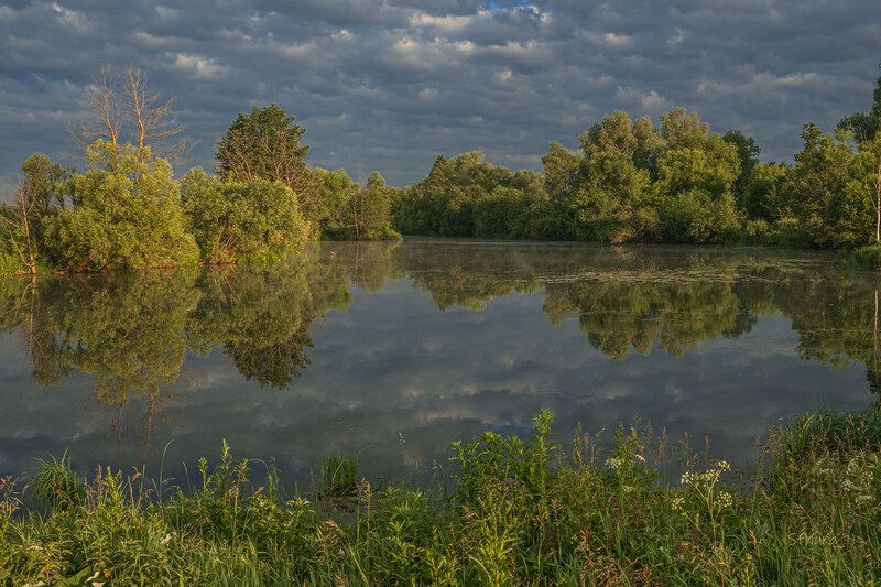 лето озеро утро облака отражение природа пейзаж На озере Омут.photo preview