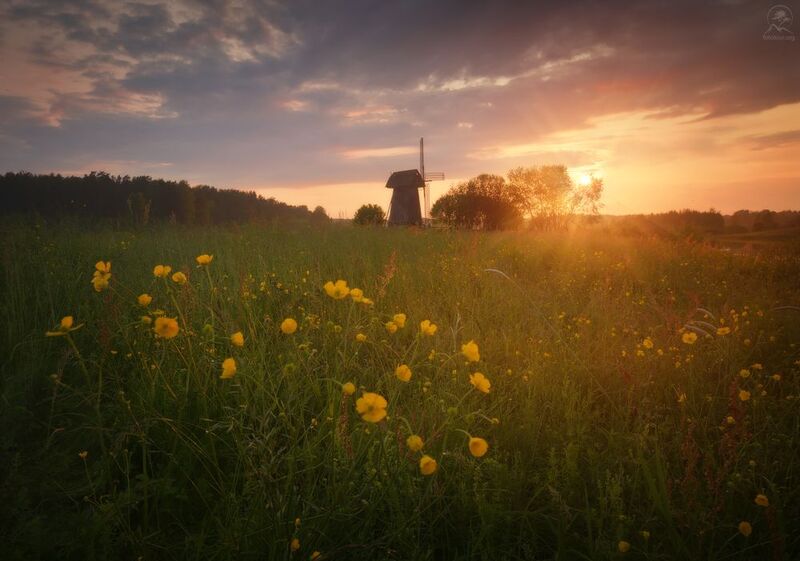 псковская, михайловское,  мельница, фототур по псковской области Летний вечерphoto preview