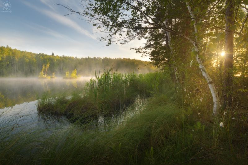 болото, подмосковье, лето, рассвет, фототур по болотам Утро на болотахphoto preview