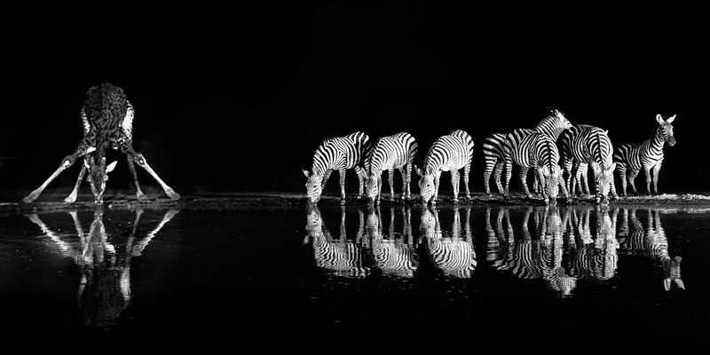 Shompole  фото превью