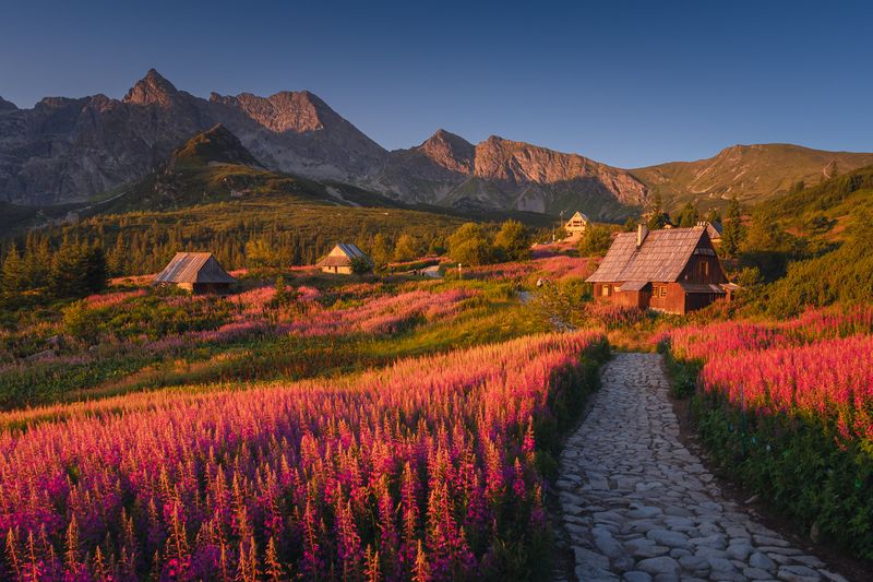 Summer in Tatrasphoto preview