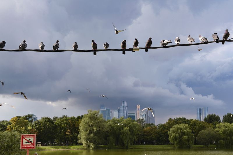 Перед ливнемphoto preview