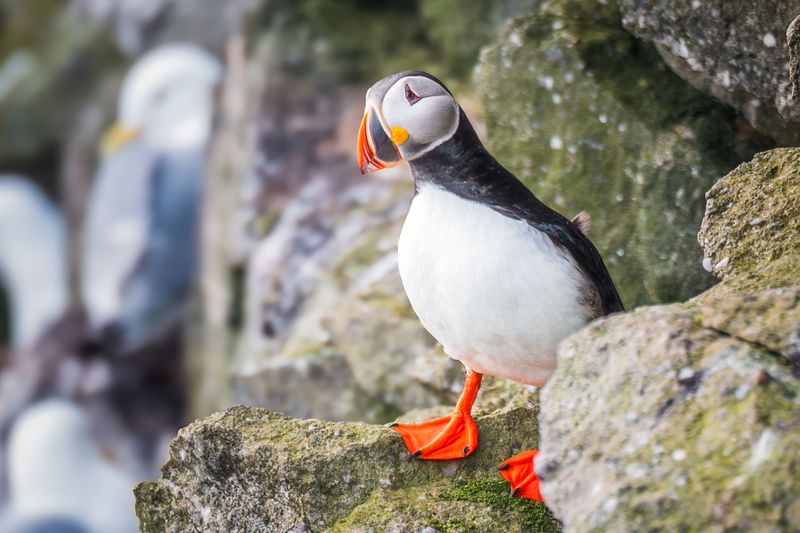 Тупикphoto preview