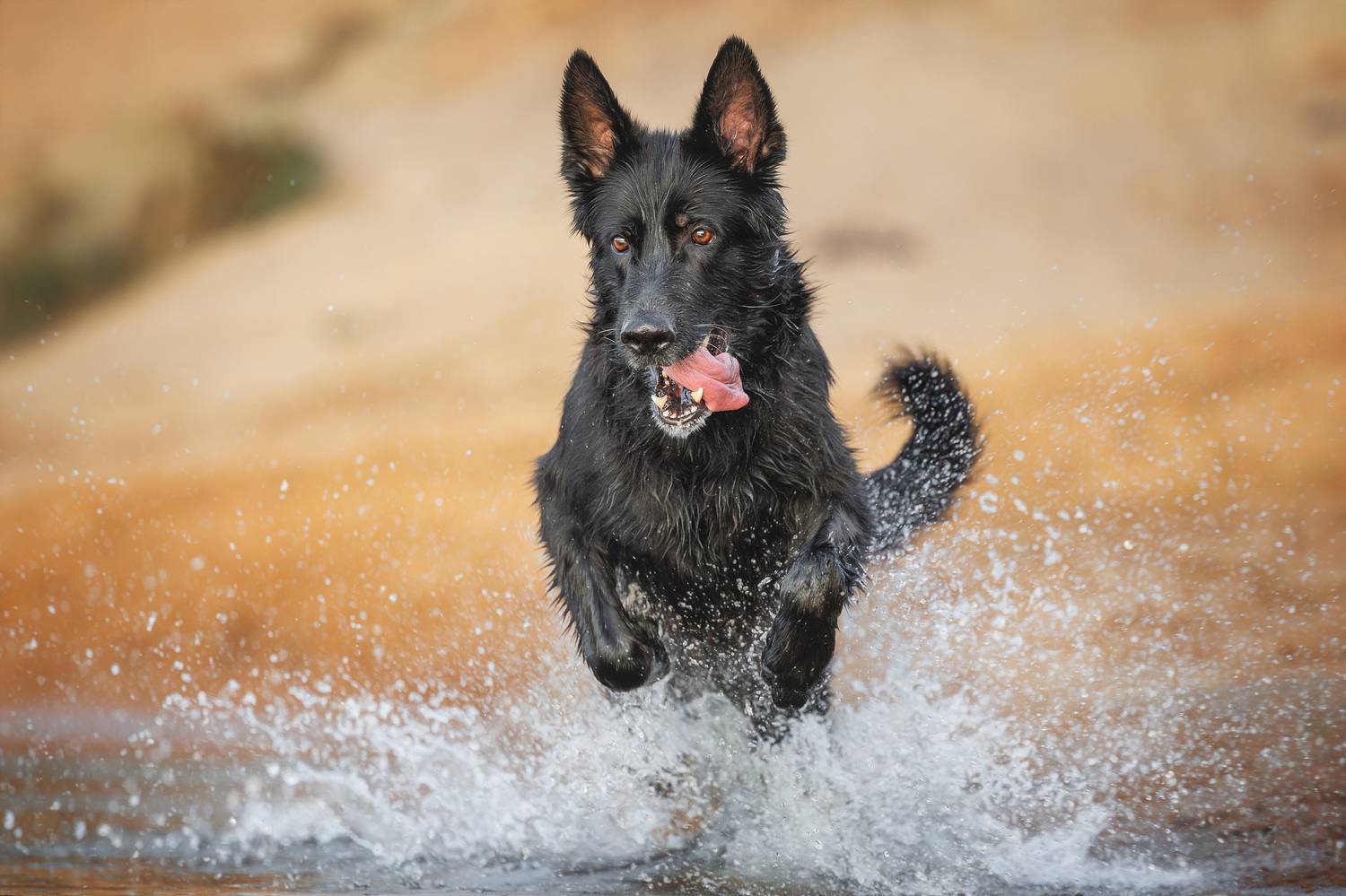Автор: Яна Нарбутович , Яна Нарбутович