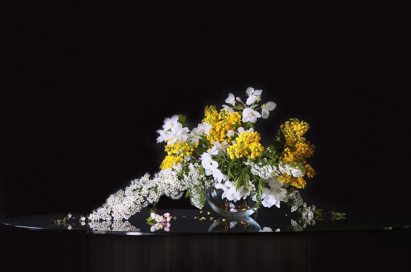 спирея, магония, ветреница, яблоневый цвет Весенняя зарисовкаphoto preview