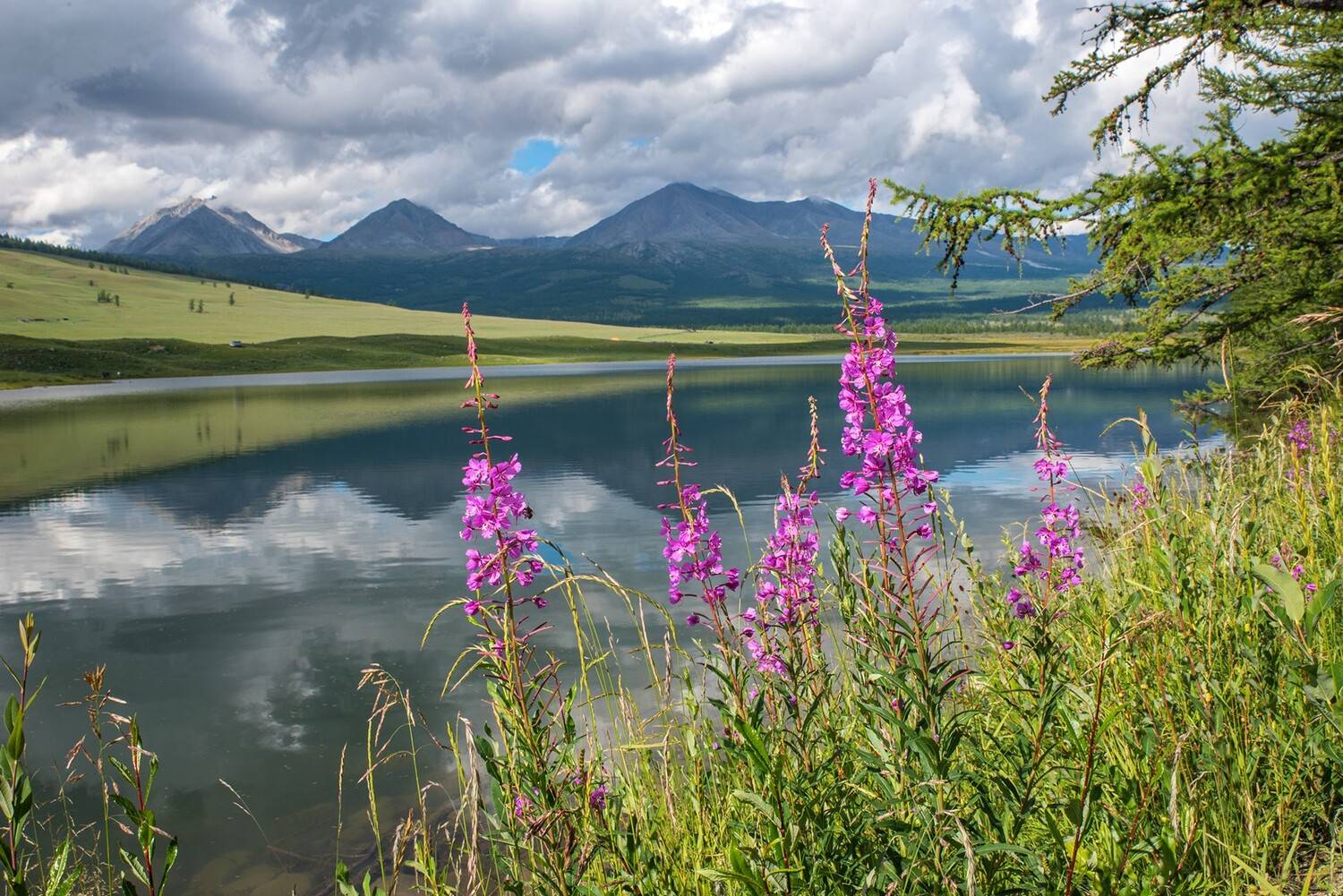 Спокойствие. Автор: Юрий Мальцев монголия, горы, лето, облака, озеро, горы, отражения, иван, чай, кипрей, Юрий Мальцев