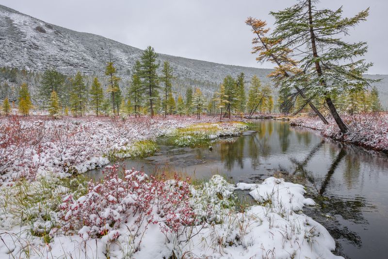 Озеро Джека Лондона Осенний колымский снежок... photo preview