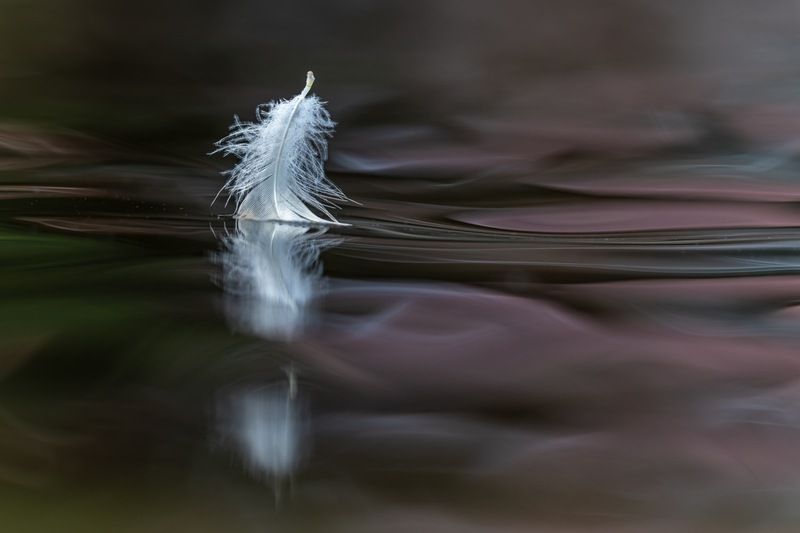 Лебединое озероphoto preview