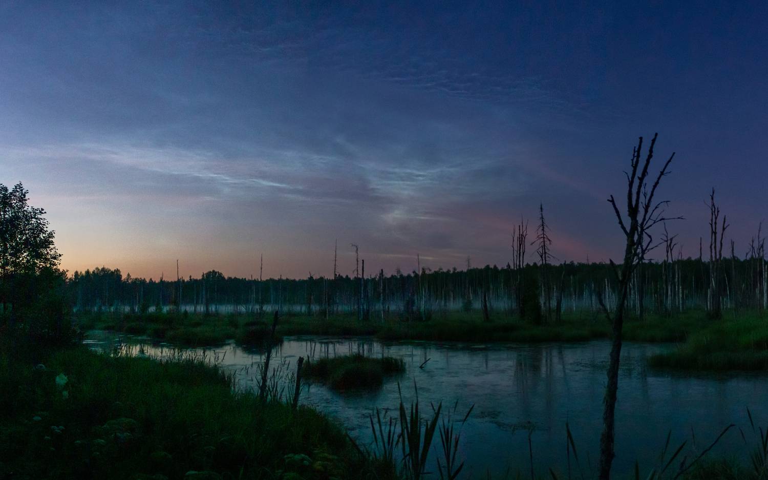 Серебристые облака над болотом. Автор: Комарова Вера , Комарова Вера