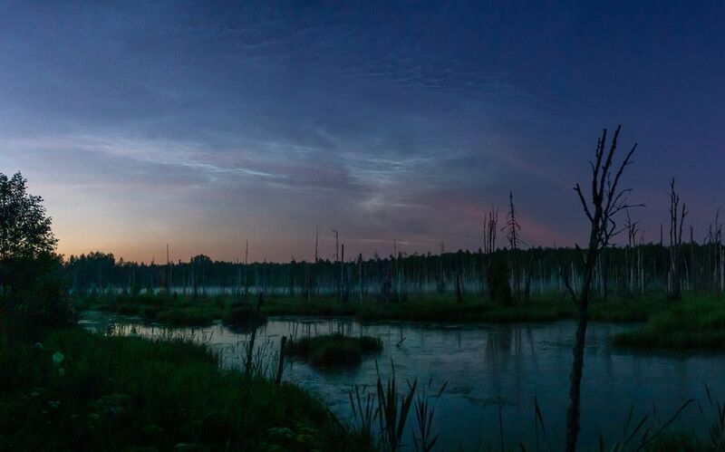 Серебристые облака над болотомphoto preview
