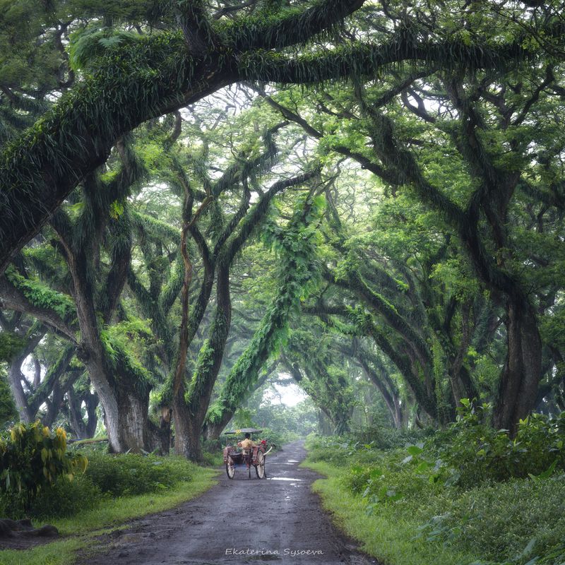 Индонезияphoto preview