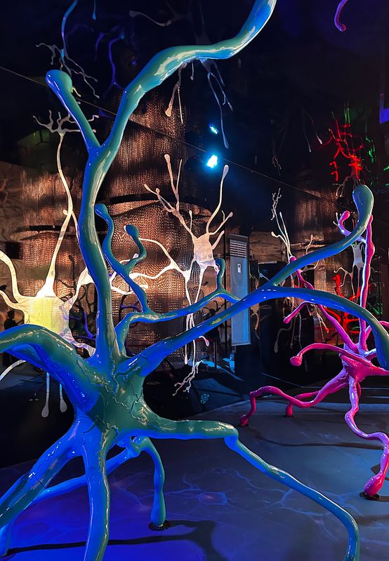 в нейронном лесуphoto preview