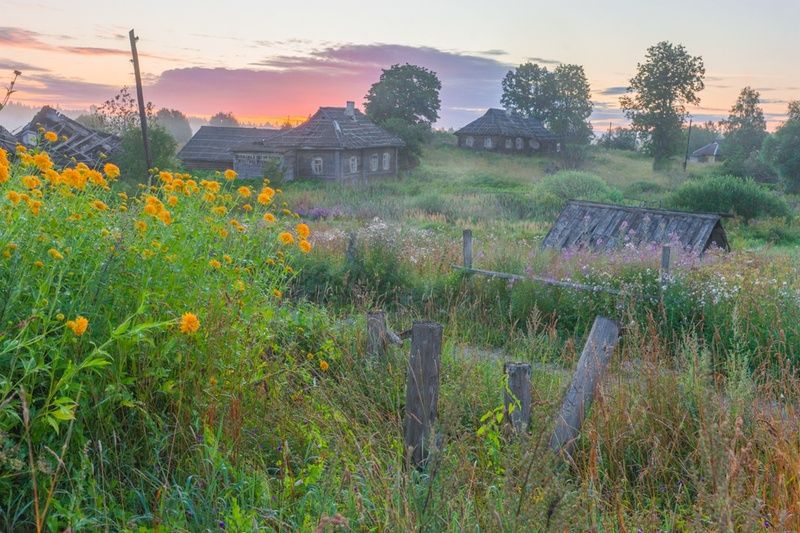 Рудбекияphoto preview