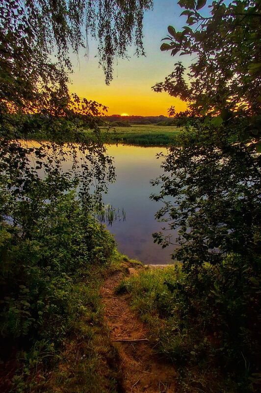 Костромской крайphoto preview