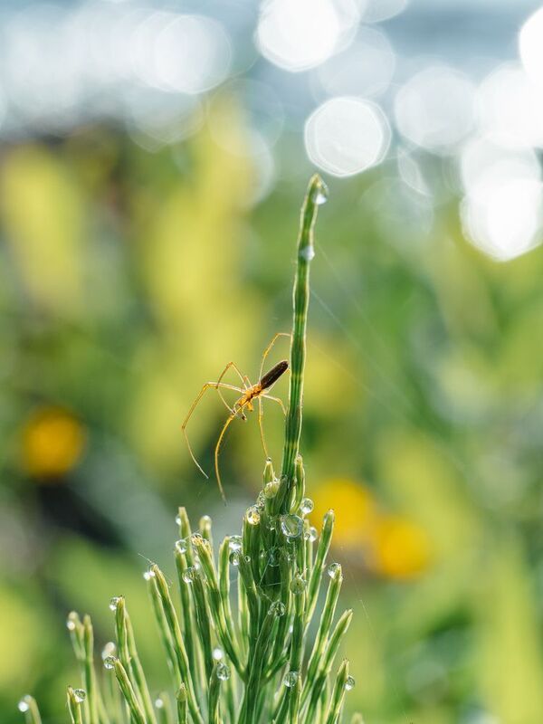 Утренняя прогулкаphoto preview