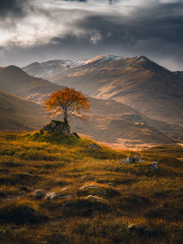 Soltierphoto preview