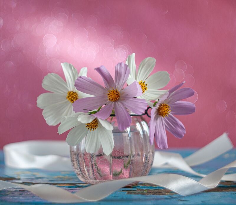 Космеиphoto preview