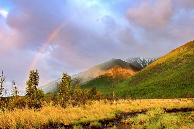 Радугаphoto preview