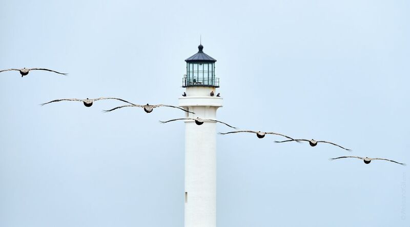 Маякphoto preview