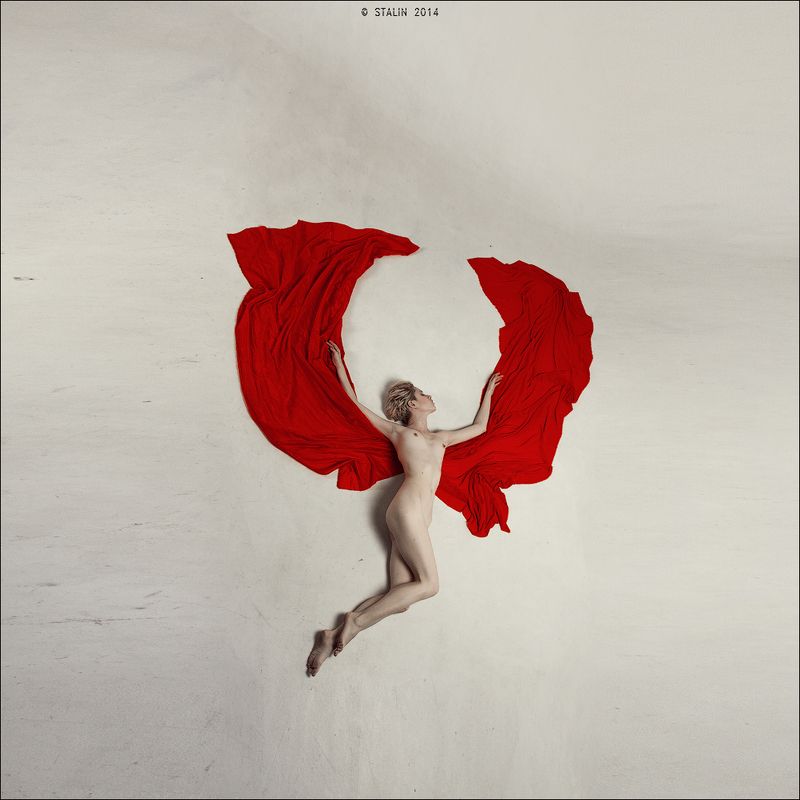 Butterfly фото превью