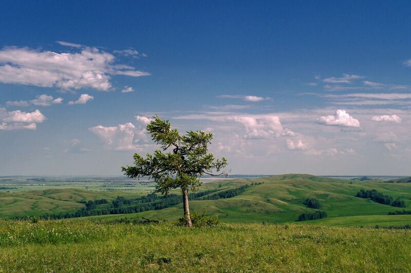 однаphoto preview