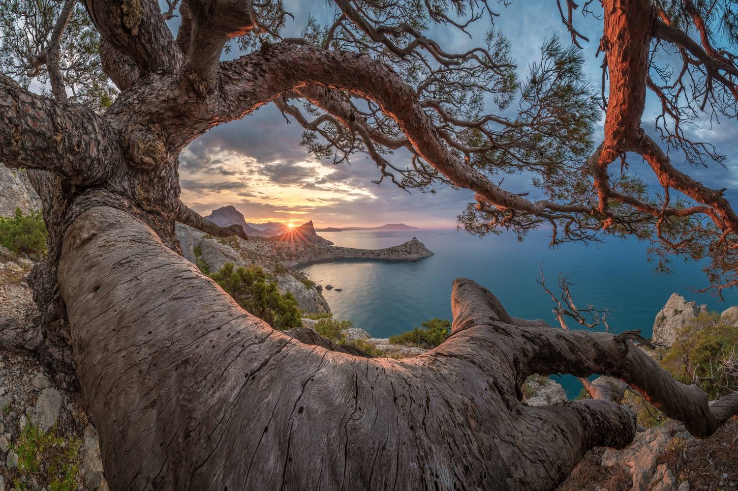 Окно в Новый Свет. Автор: Алексей Королёв крым, новый свет, судак, черное море, пейзаж, природа, море, россия, восход, горы, crimea, novyi svet, sudak, black sea, landscape, nature, sea, russia, sunrise, mountains, Алексей Королёв