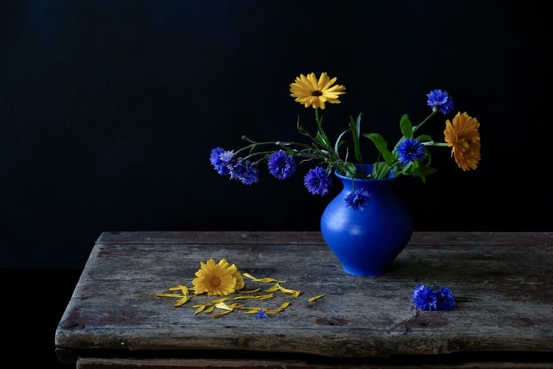 Still life, Flowers, Colors, Blue, Yellow, Mood,  Два цветка...photo preview