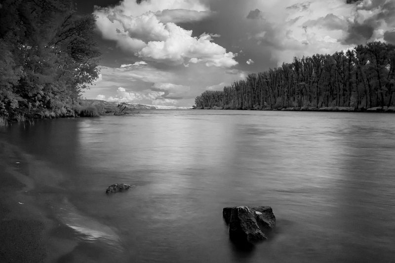 волга, острова, простор, пейзаж, ч/б, перегаров остров, вольск Август волжском острове..photo preview