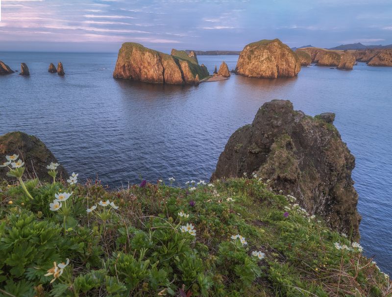 шикотан Бухта Безымянная, Шикотанphoto preview