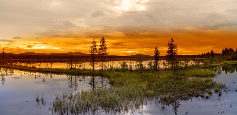 После дождя.photo preview