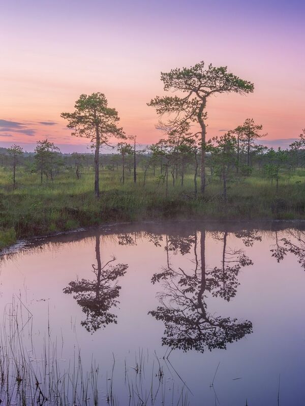 Вечернее умиротворение photo preview