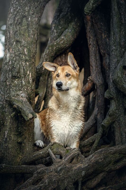 Наянphoto preview