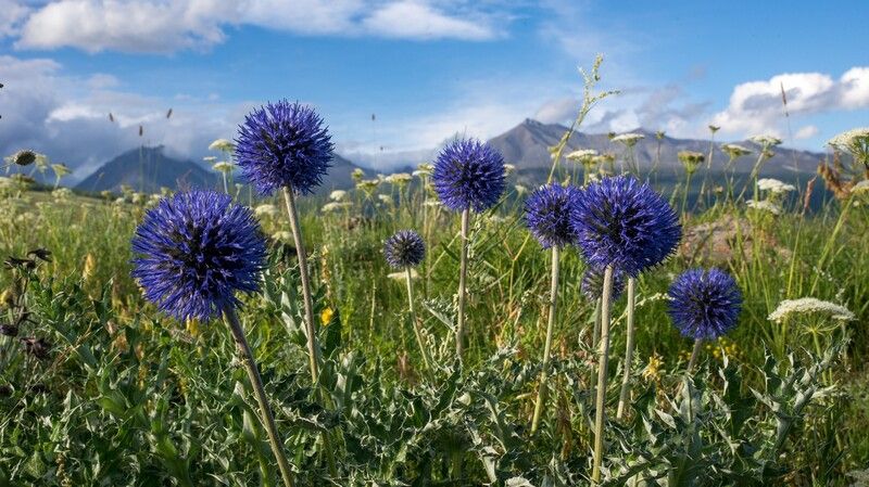 монголия, горы, лето, облака, Синие шарыphoto preview