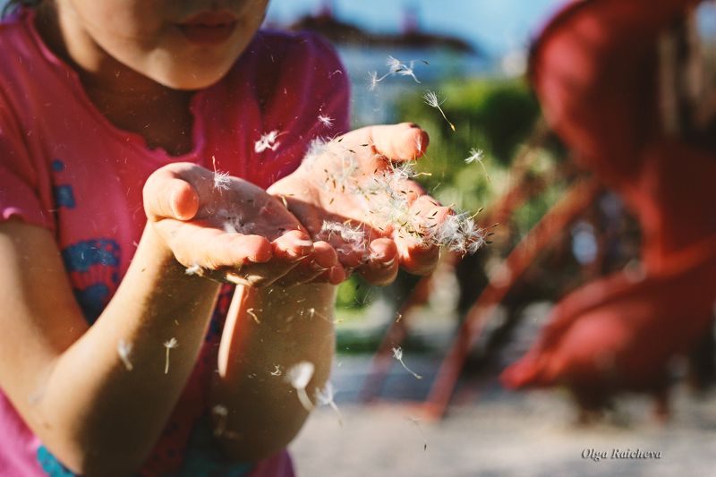 Чудеса-чудесные! The Wonders =))photo preview