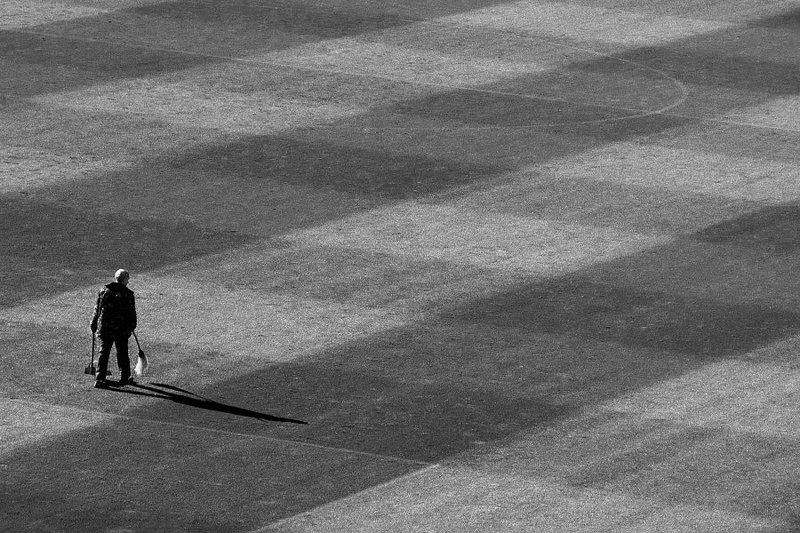 в чистом полеphoto preview