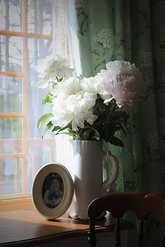 пионыphoto preview