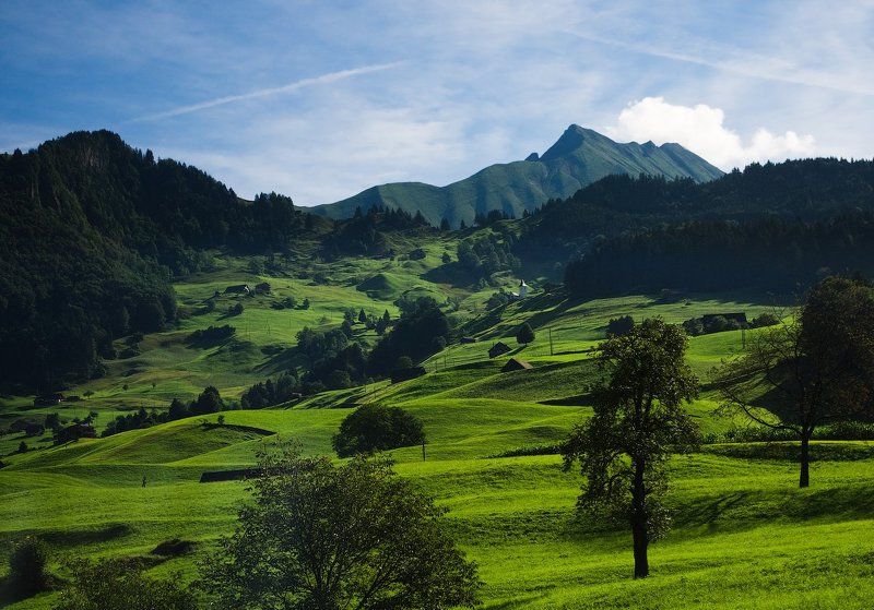 горы альпы швейцария mountains alps switzerland meadow Альпийские лугаphoto preview
